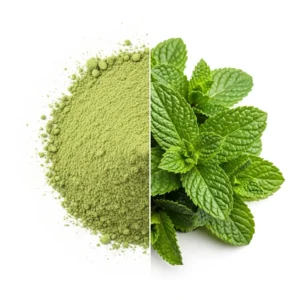 Mint Herbal Tea